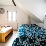 Le Cosy Du Brasseur - Magnifique Duplex, Proche Strasbourg Daire