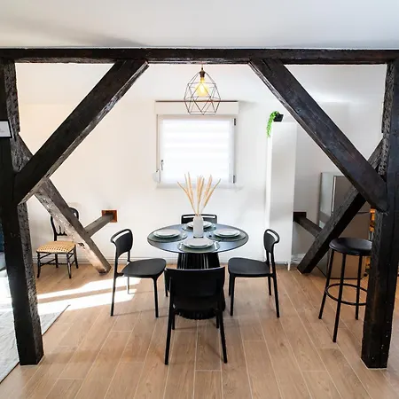 Le Cosy Du Brasseur - Magnifique Duplex Schiltigheim, Proche Strasbourg Apartament