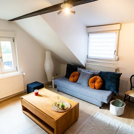 Le Cosy Du Brasseur - Magnifique Duplex Schiltigheim, Proche Strasbourg Apartament *