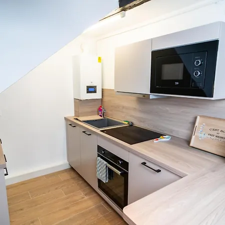 Le Cosy Du Brasseur - Magnifique Duplex Schiltigheim, Proche Strasbourg * Schiltigheim