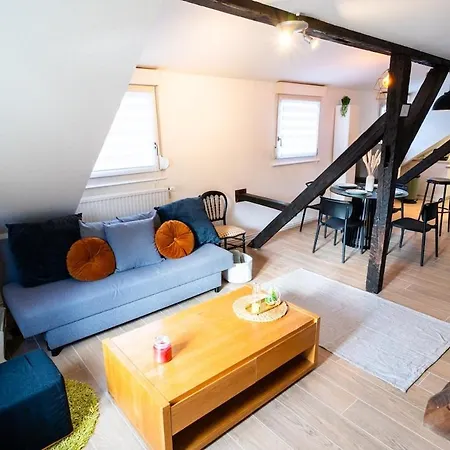 Apartament Le Cosy Du Brasseur - Magnifique Duplex Schiltigheim, Proche Strasbourg