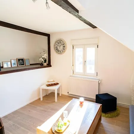דירה Le Cosy Du Brasseur - Magnifique Duplex, Proche Strasbourg שילטיגהיים