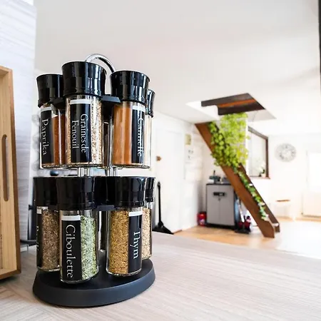 Le Cosy Du Brasseur - Magnifique Duplex Schiltigheim, Proche Strasbourg * Schiltigheim