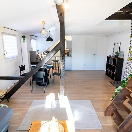 Le Cosy Du Brasseur - Magnifique Duplex Schiltigheim, Proche Strasbourg