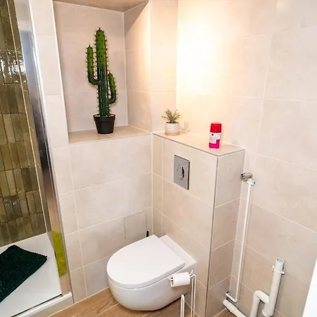 Le Cosy Du Brasseur - Magnifique Duplex Schiltigheim, Proche Strasbourg Apartament *