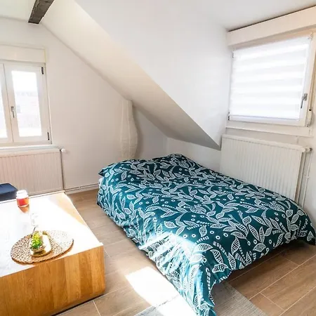 Le Cosy Du Brasseur - Magnifique Duplex Schiltigheim, Proche Strasbourg Apartament