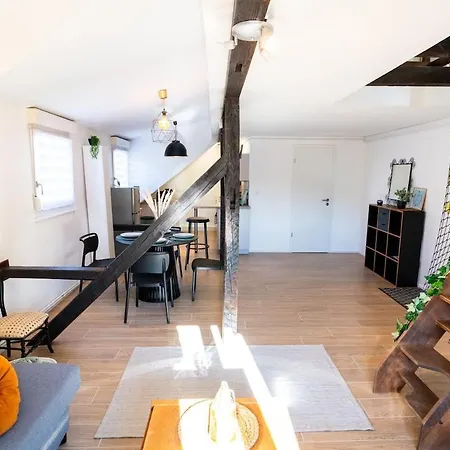 Le Cosy Du Brasseur - Magnifique Duplex Schiltigheim, Proche Strasbourg