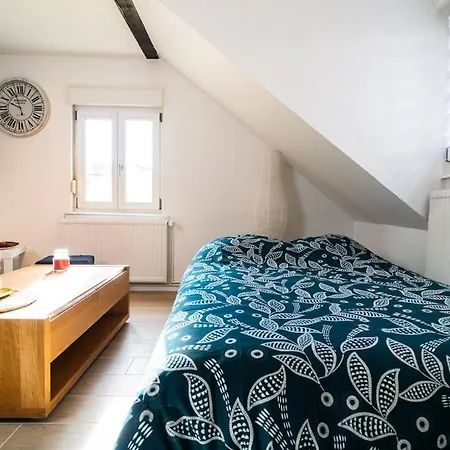 Le Cosy Du Brasseur - Magnifique Duplex, Proche Strasbourg דירה