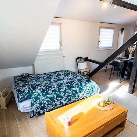 דירה Le Cosy Du Brasseur - Magnifique Duplex, Proche Strasbourg שילטיגהיים