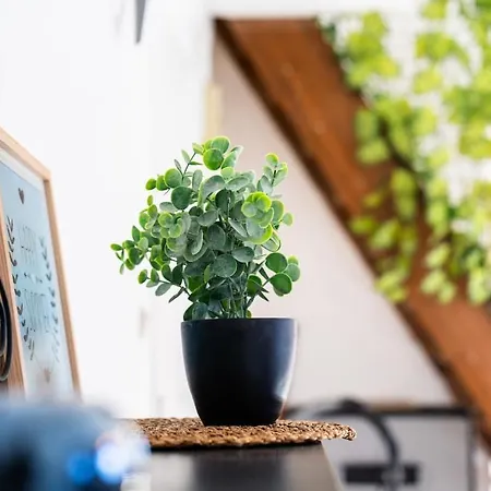 Le Cosy Du Brasseur - Magnifique Duplex Schiltigheim, Proche Strasbourg Apartament