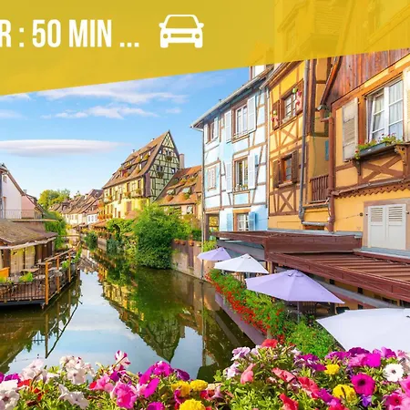 Le Cosy Du Brasseur - Magnifique Duplex, Proche Strasbourg 아파트