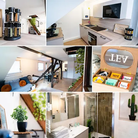 דירה Le Cosy Du Brasseur - Magnifique Duplex, Proche Strasbourg שילטיגהיים
