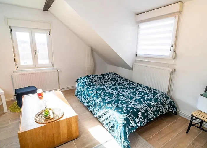 Le Cosy Du Brasseur - Magnifique Duplex, Proche Strasbourg 아파트