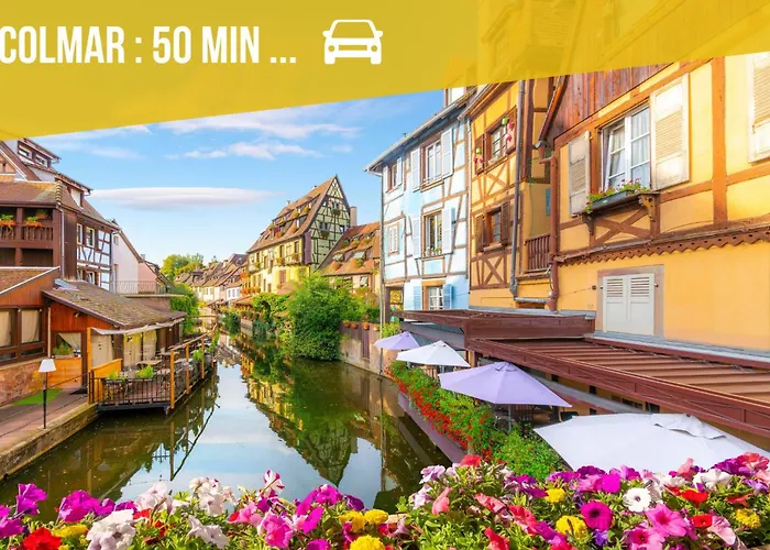 Le Cosy Du Brasseur - Magnifique Duplex, Proche Strasbourg 아파트